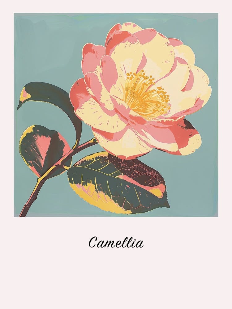 Kamelie 2 Quadratische Blumen Illustration Poster