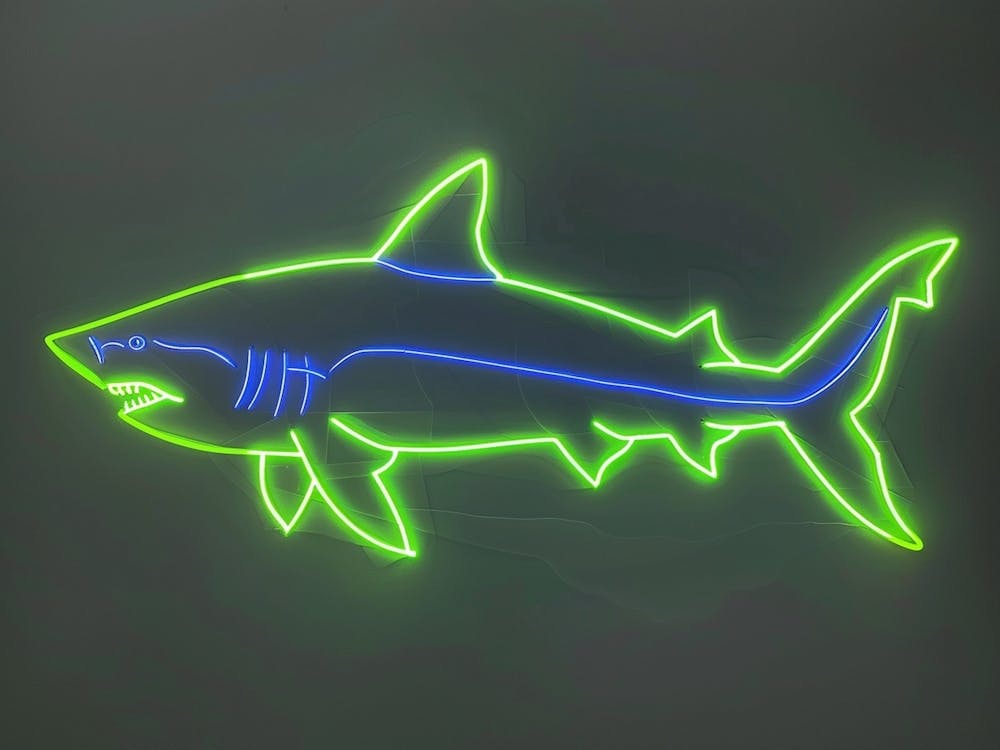Neon Lime Dogfish Shark 1