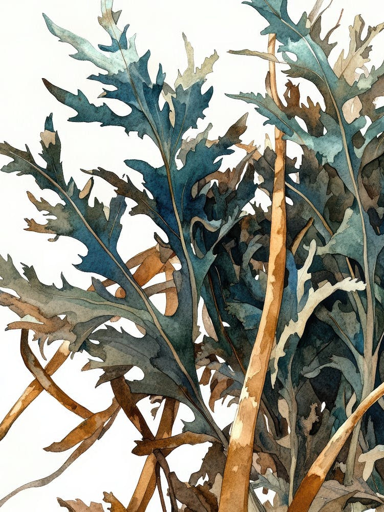 Blue Kelp