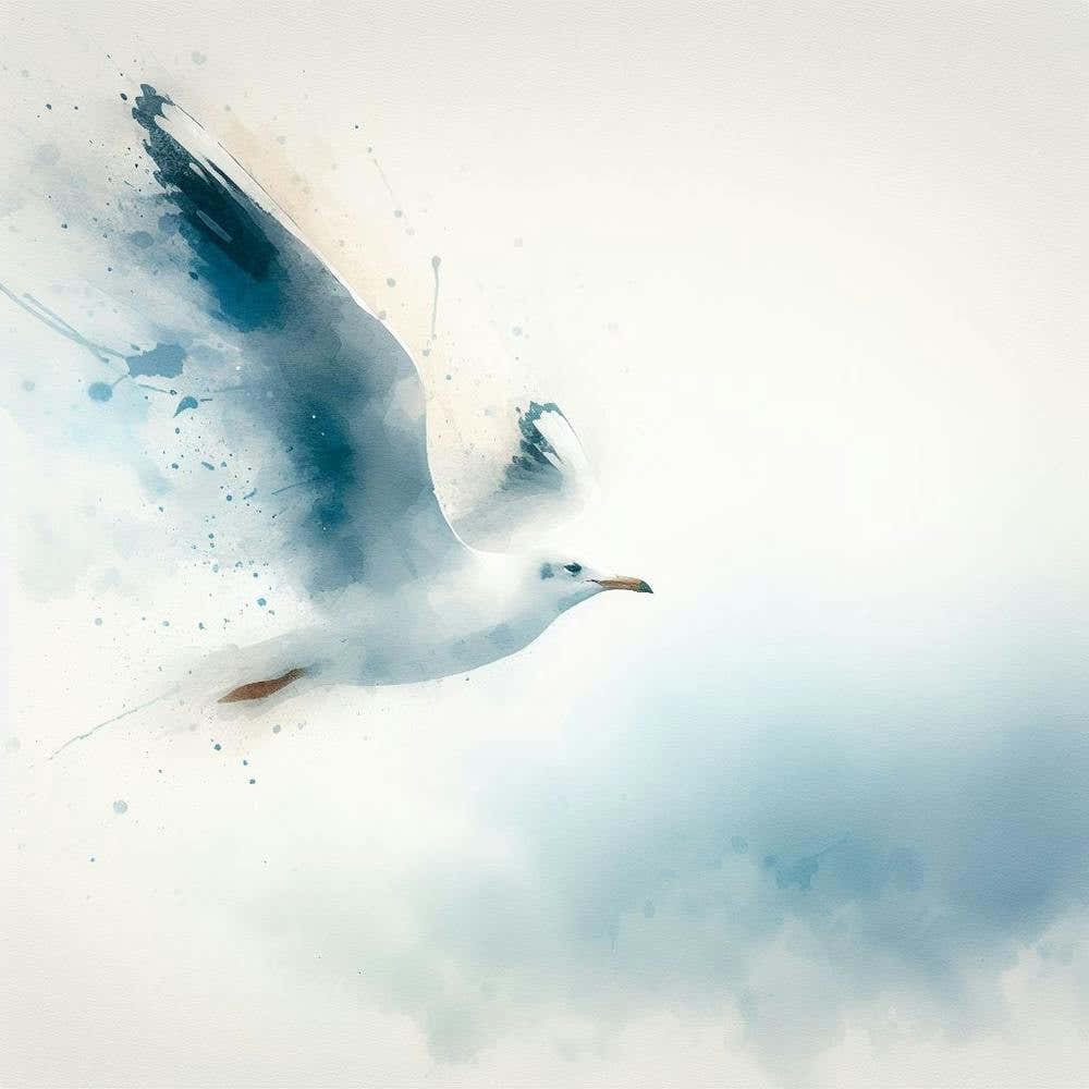 Seagull Flying In The Sky