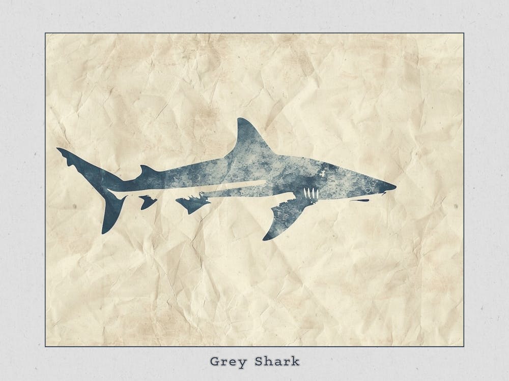 Grey Shark Silhouette 6 Poster