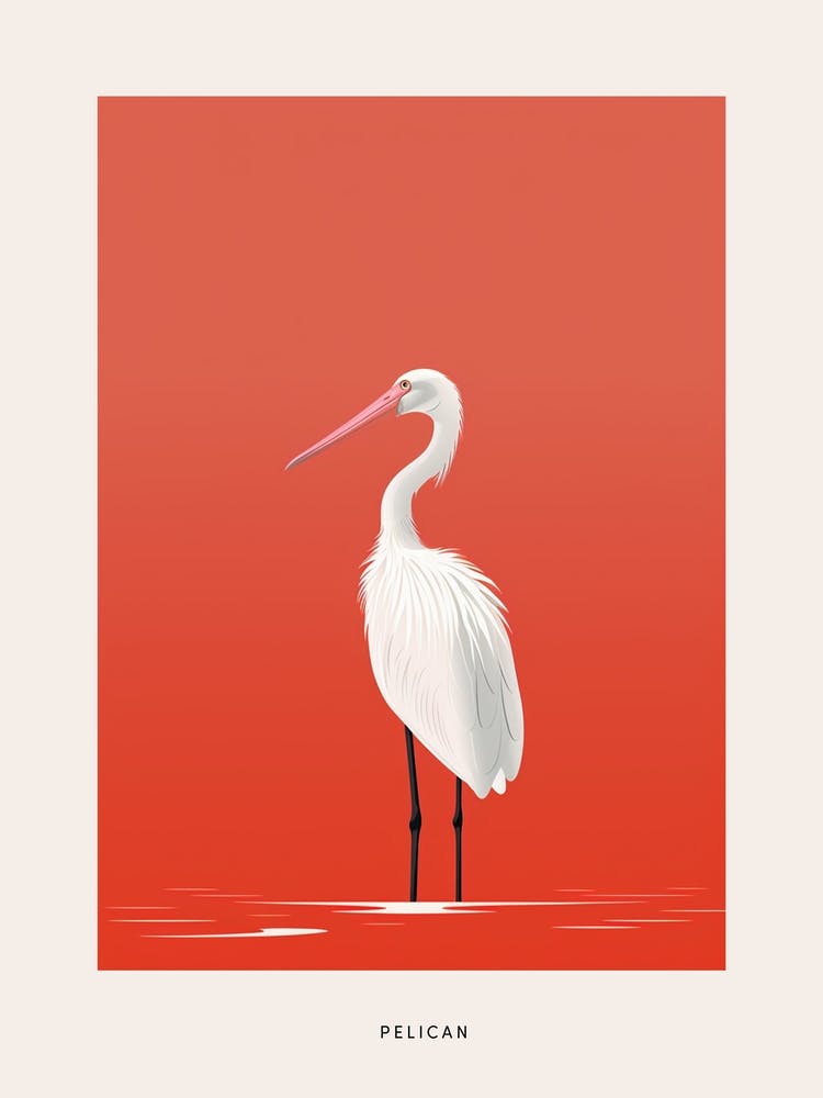 Minimalist Pelican 2 Bird Poster