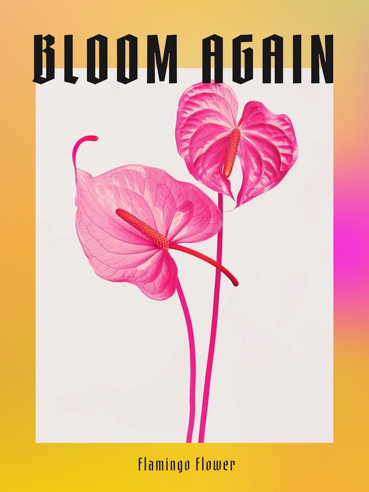 Hot Pink Flamingo Flower 1 Poster