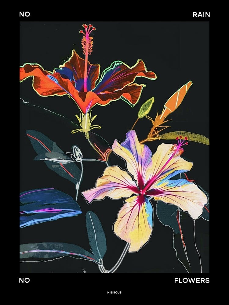 No Rain No Flowers Poster Hibiscus 3