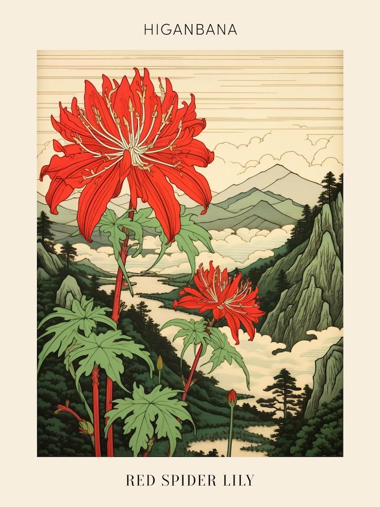 Higanbana Red Spider Lily 4 Japanese Botanical Illustration Poster