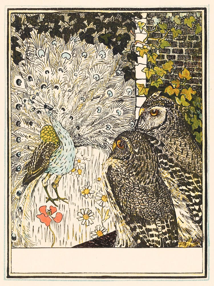 Showing Peacock And Two Owls (1895), Theo Van Hoytema