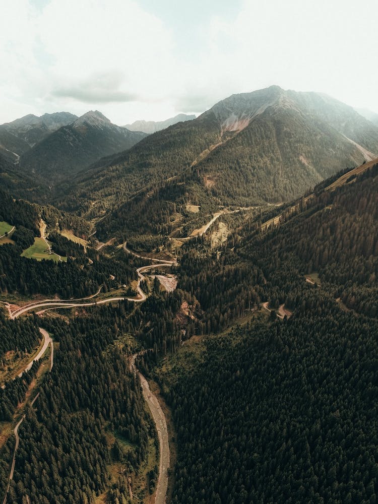 Roadtrip Through The Woods