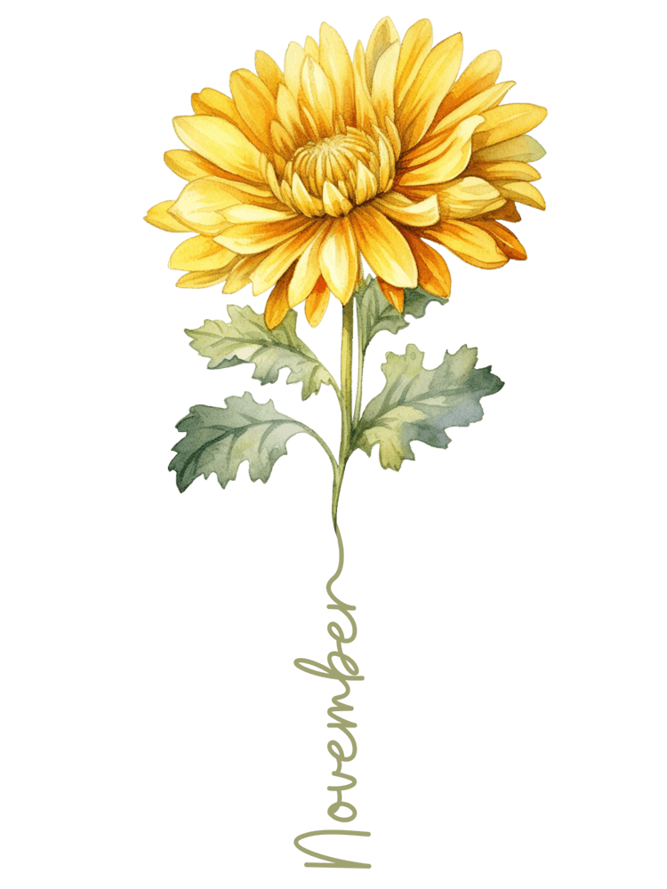 Fleur de Naissance de Novembre Botanique du Mois de Naissance 1
