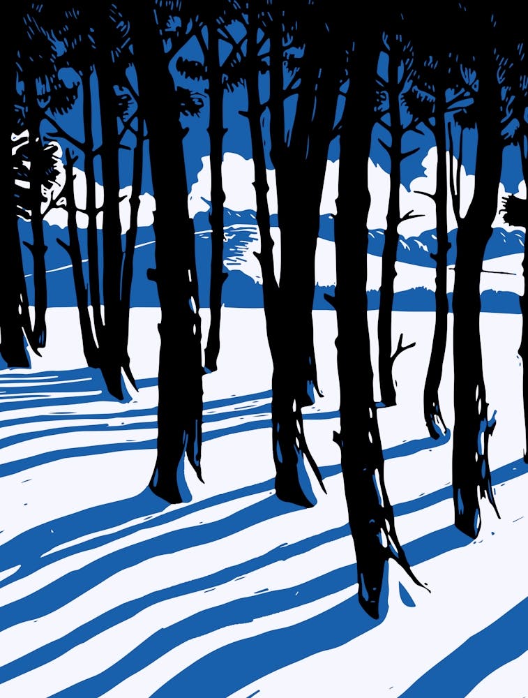 Winter Forest Shadows Blue Minimal Nature Wall Art