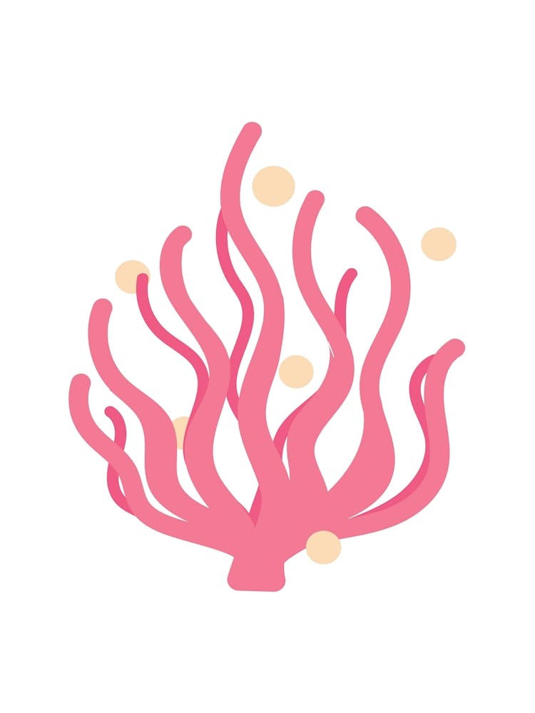 Coral Reef 1