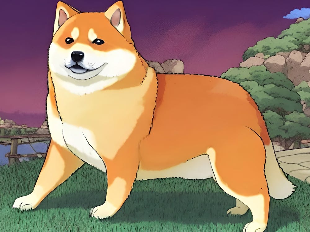 Shiba Inu 2
