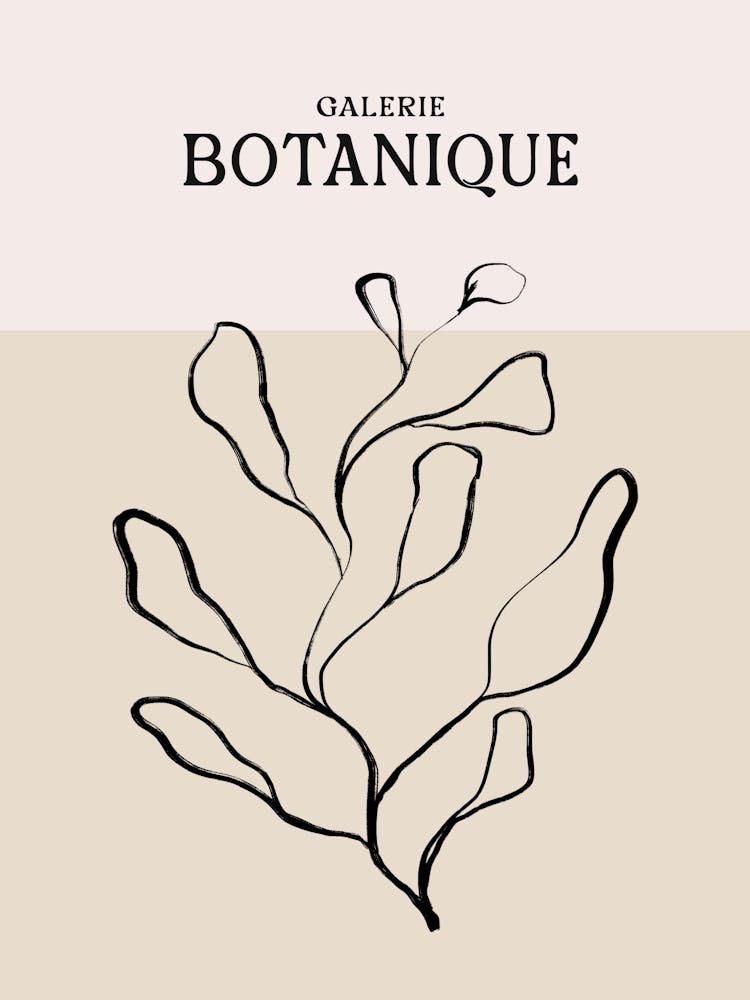 Galerie botanique no 3