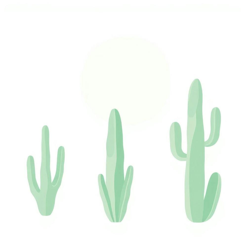 Cactus 4