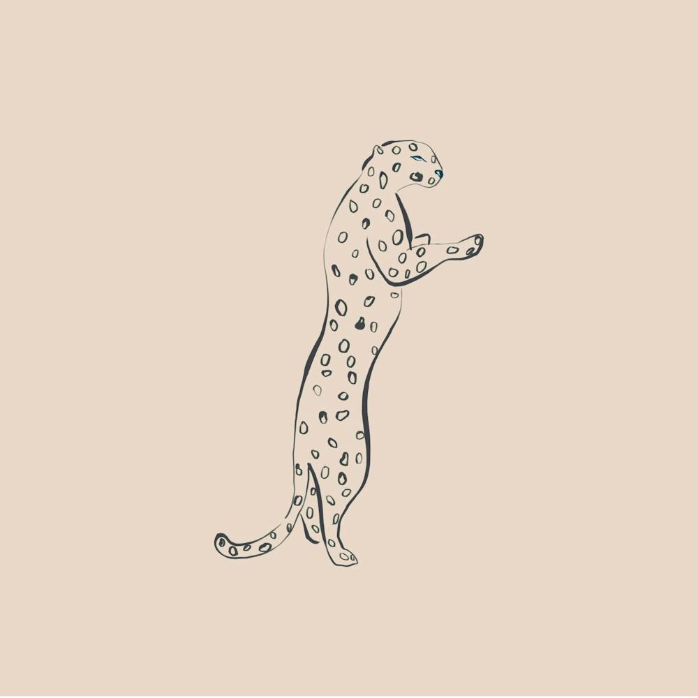 Cheetah