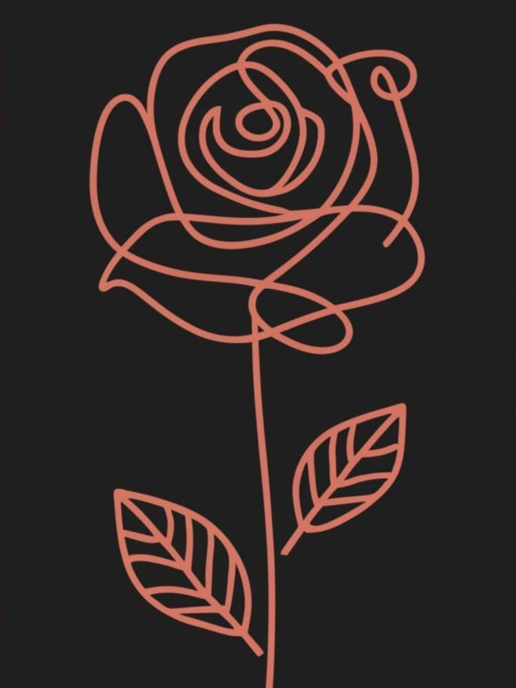 A Rose