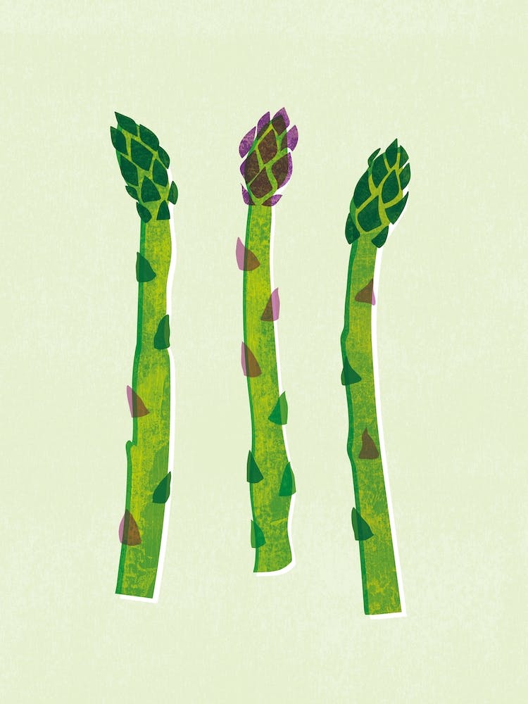 Asparagus