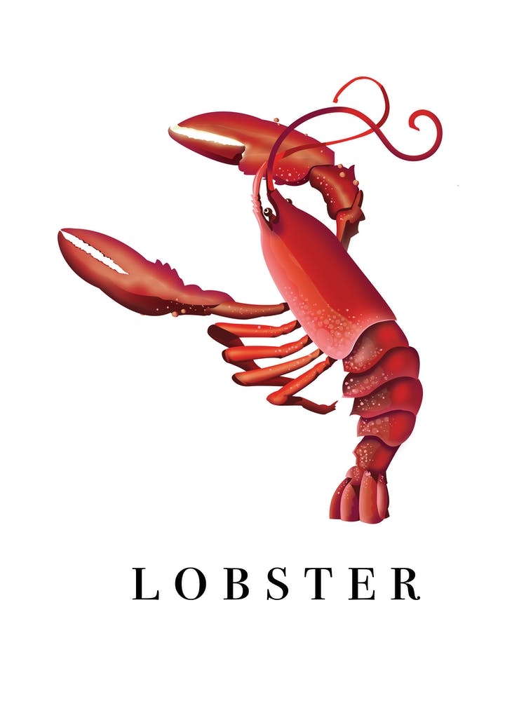 Lobster