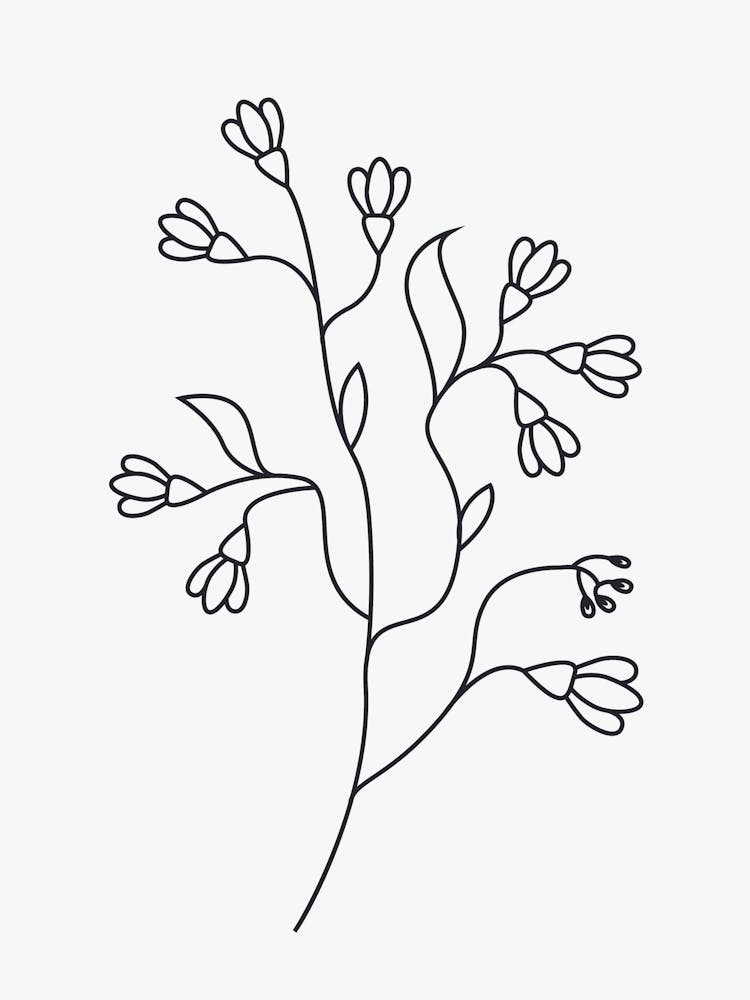 Line Drawing Of A Flower 1