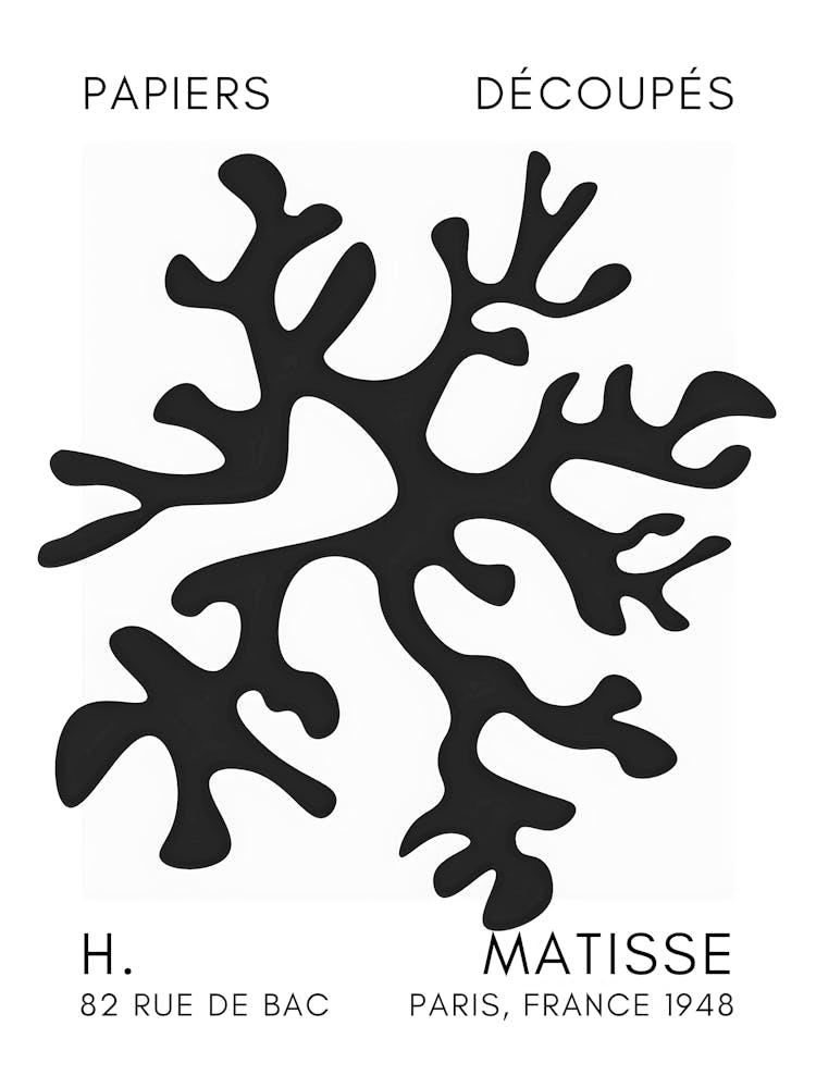 H Matisse 46