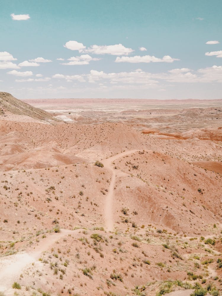 Vermillion Cliffs Landscape
