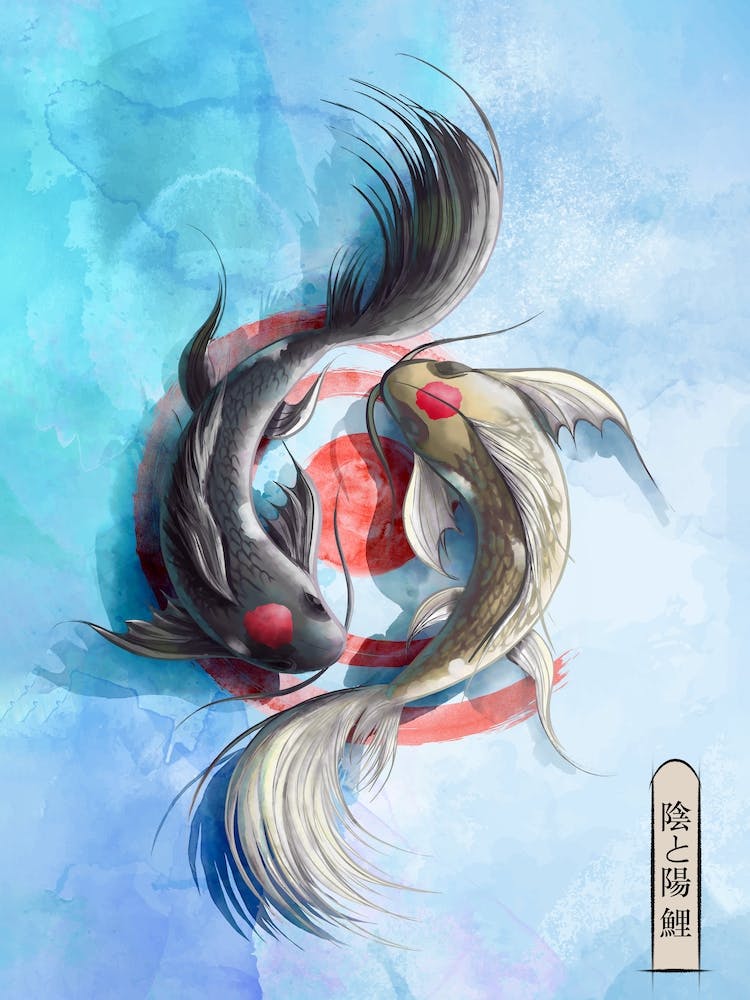 Yin and Yang Koi Japanese Symbolic bright