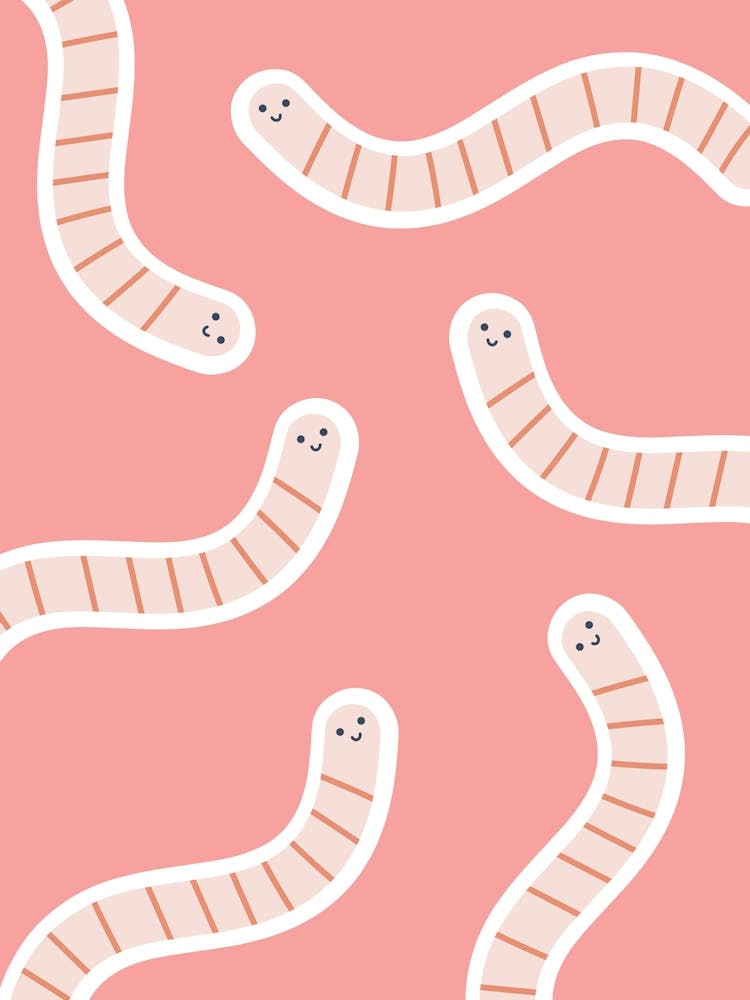 Worms On Pink Background