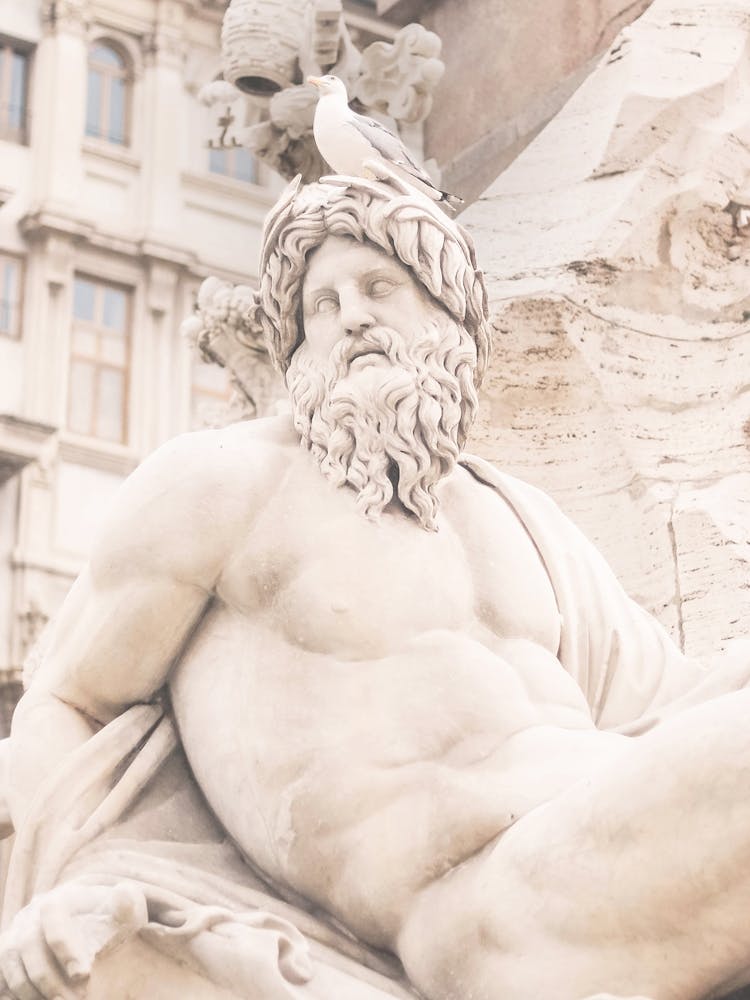 Rome, Italy I Seagull perched on antique head statue in Piazza Navona with beige monochrome pastel aesthetic tones of authentic stone architecture photography capturing the quiet elegance of the city