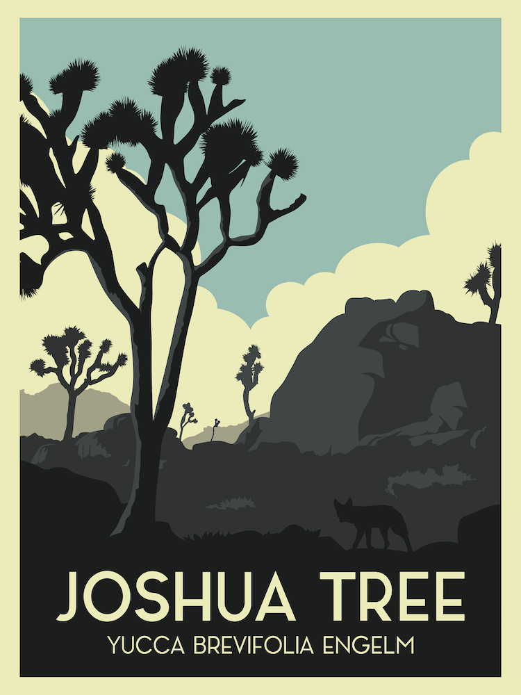 Joshua Tree National Park Travel Poster