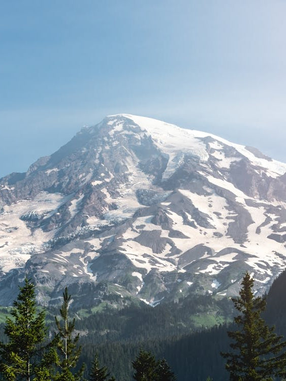 Mount Rainier National Park - Dreamy Nature Landscape