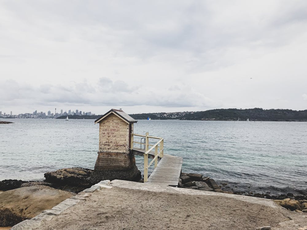 Sydney Harbour scene