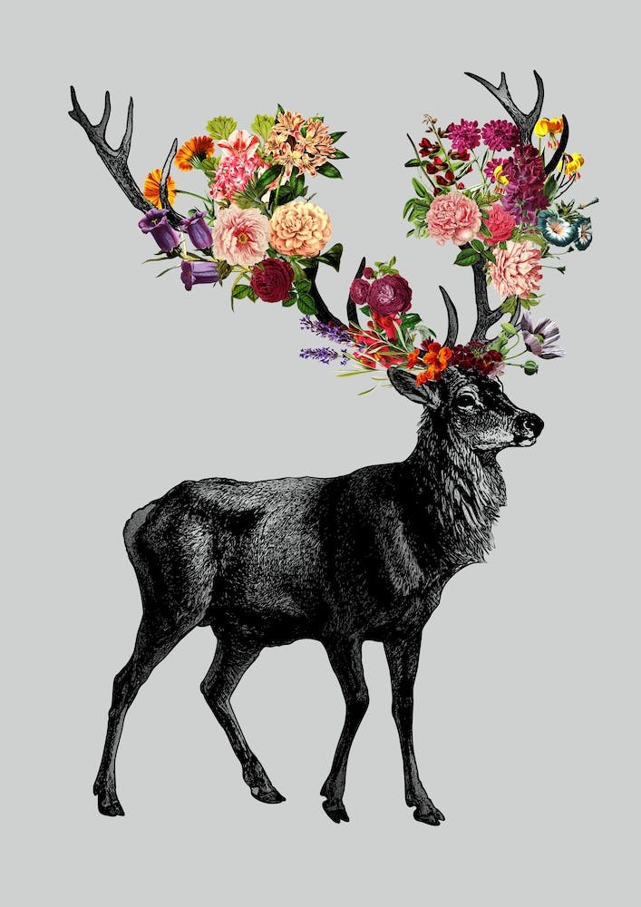 Spring Itself Deer Floral