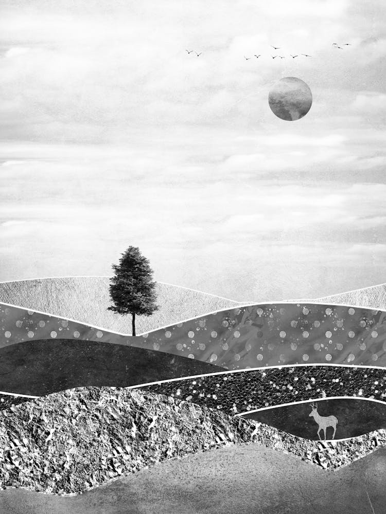 Lone Tree 1