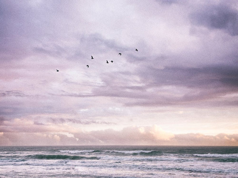 Mesmerized By The Ocean
