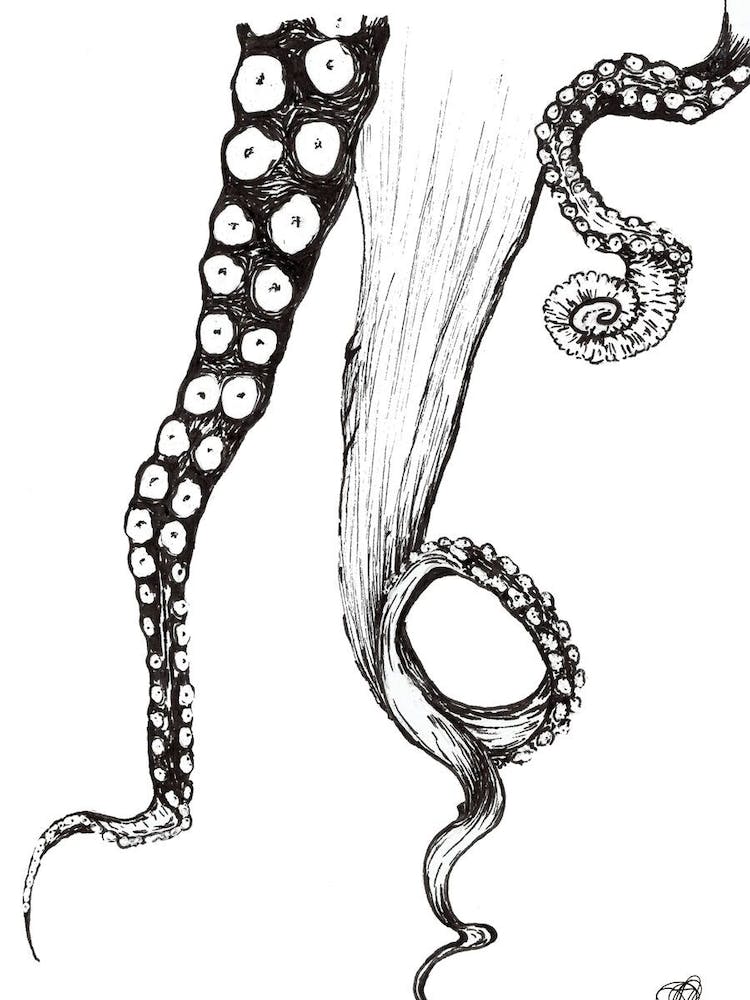 Black and White Octopus Tentacles