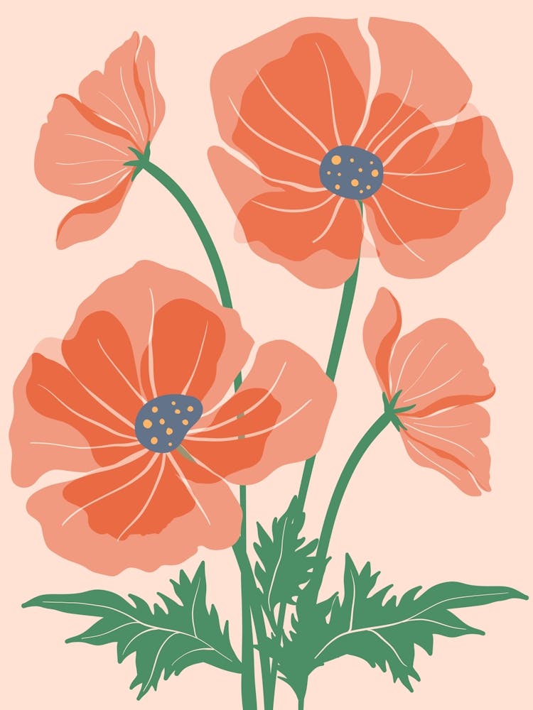 Poppies 8
