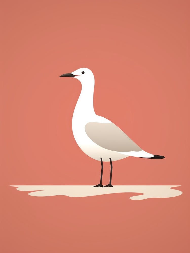 Minimalist Seagull 3 Illustration