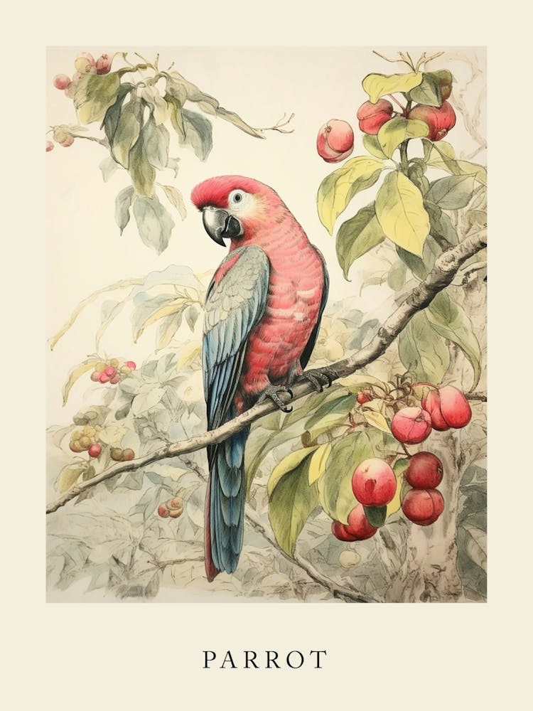 Beatrix Potter Inspired  Animal Watercolour Parrot 2