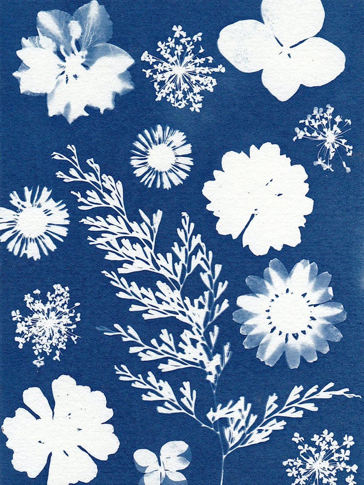 Flowers On Blue Paper