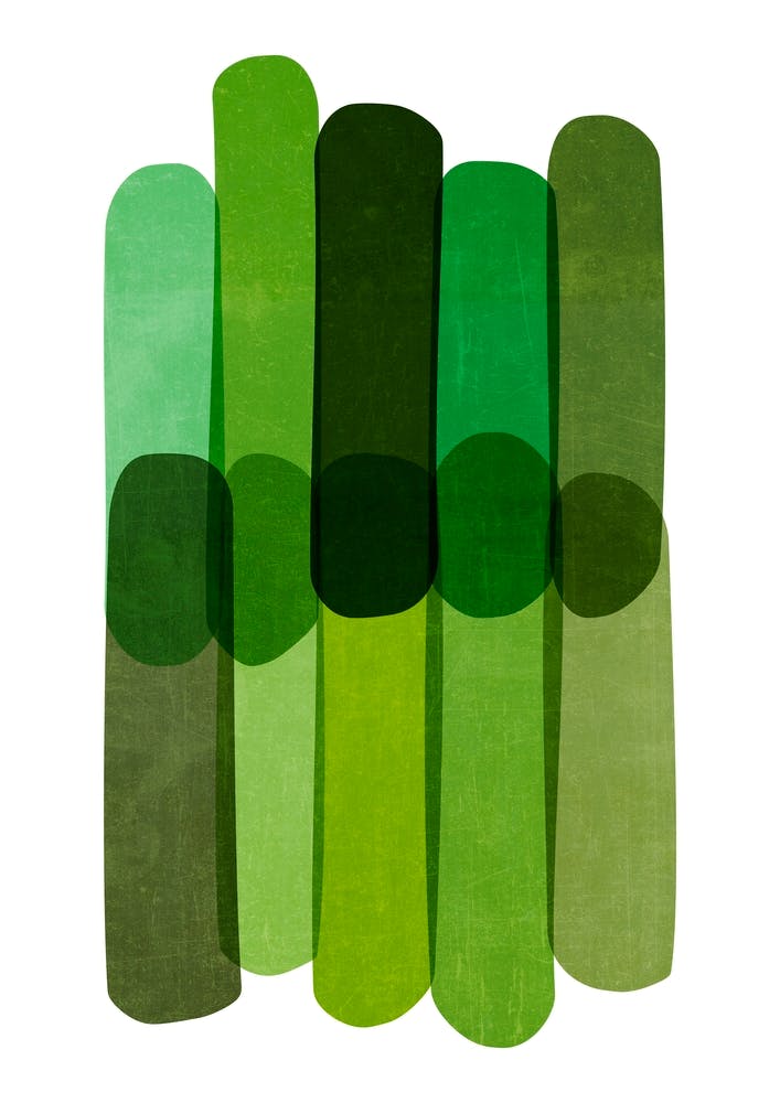 Cool Green Bold Lines