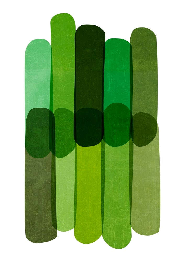 Cool Green Bold Lines