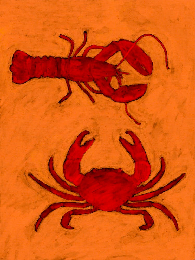 Coastal Creatures