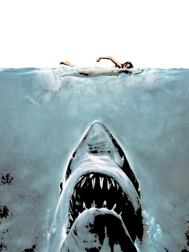 GREAT WHITE SHARK REQUIN JAWS Wall Art Poster Grand format A0 Large Print GREAT WHITE SHARK REQUIN JAWS Wall Art Poster Grand format A0 Large Print