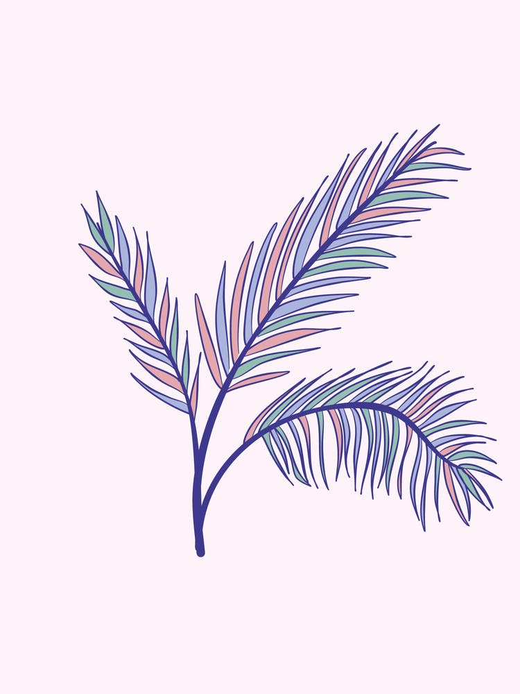 Palm Leaf 1