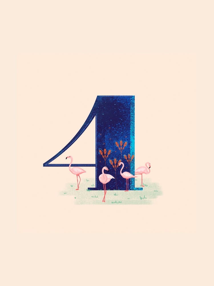 Letter 4 Flamingoes