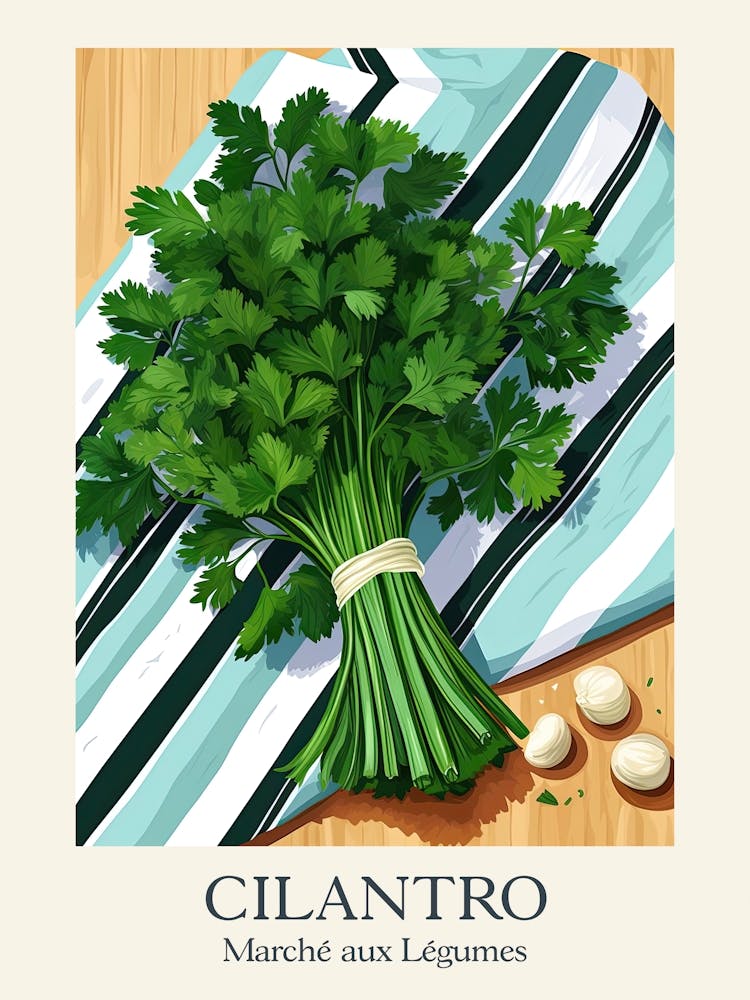 Marche Aux Legumes Koriander Sommerillustration 6