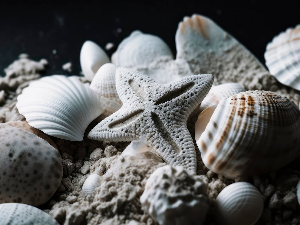 Beach Impressions No 48