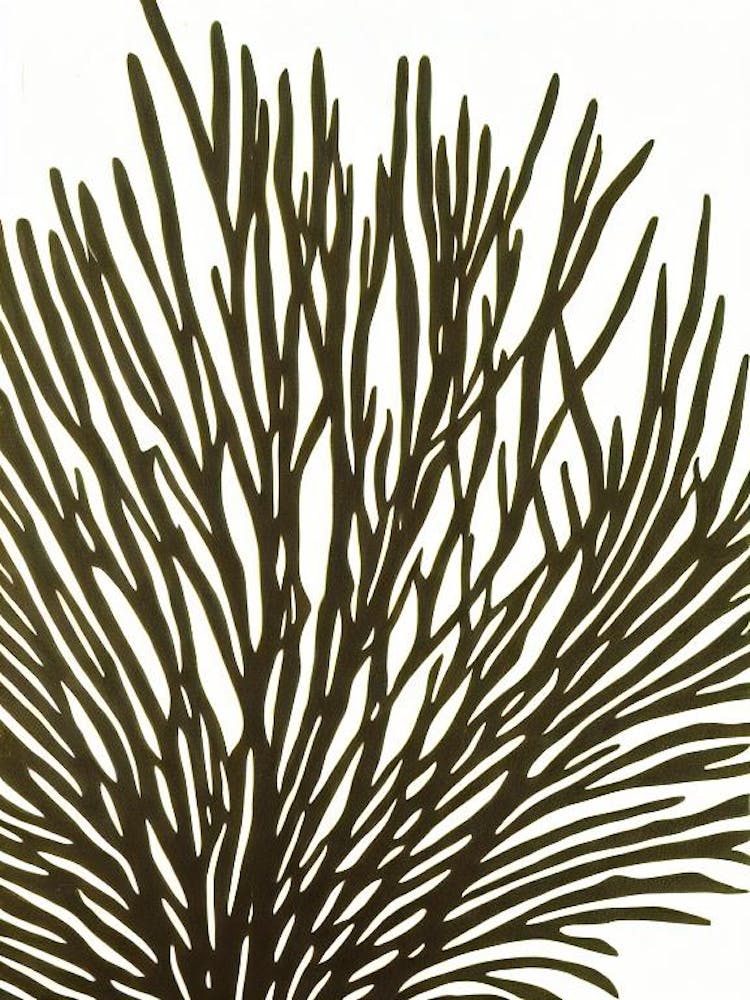 Acropora Yongei Iii Linocut