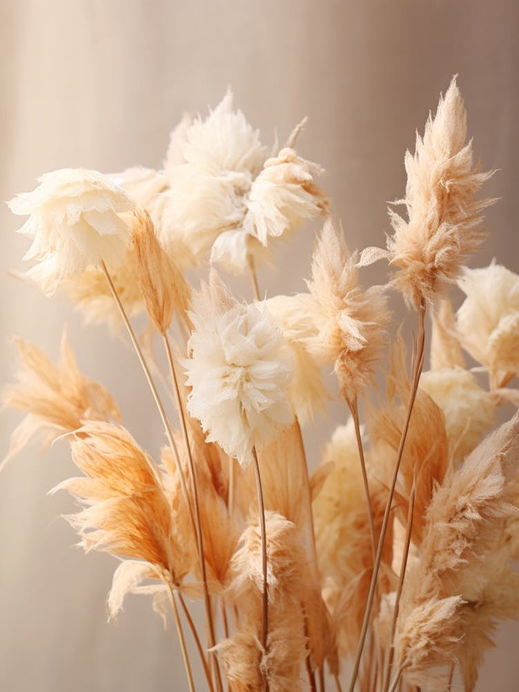Boho Dried Flowers Celosia 5