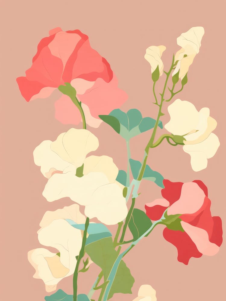 Sweet Peas Flower Big Bold Illustration 3