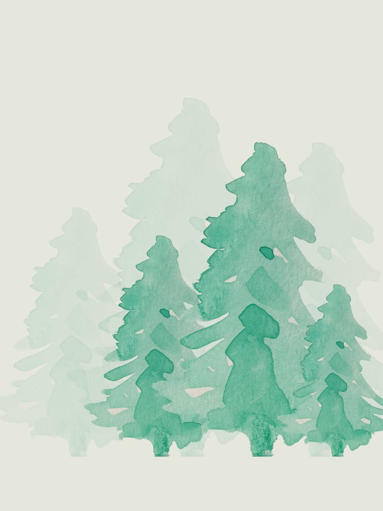 Watercolor Of Pine Trees